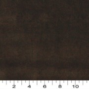 A0000S Ruler Image