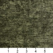 A0150O Ruler Image