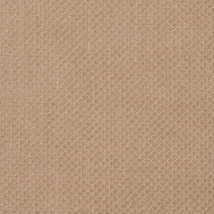 E594 Sand Chenille Upholstery Fabric