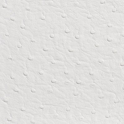 White, Ostrich Emu Marine Grade Vinyl By The Yard