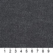 D455 Ruler Image